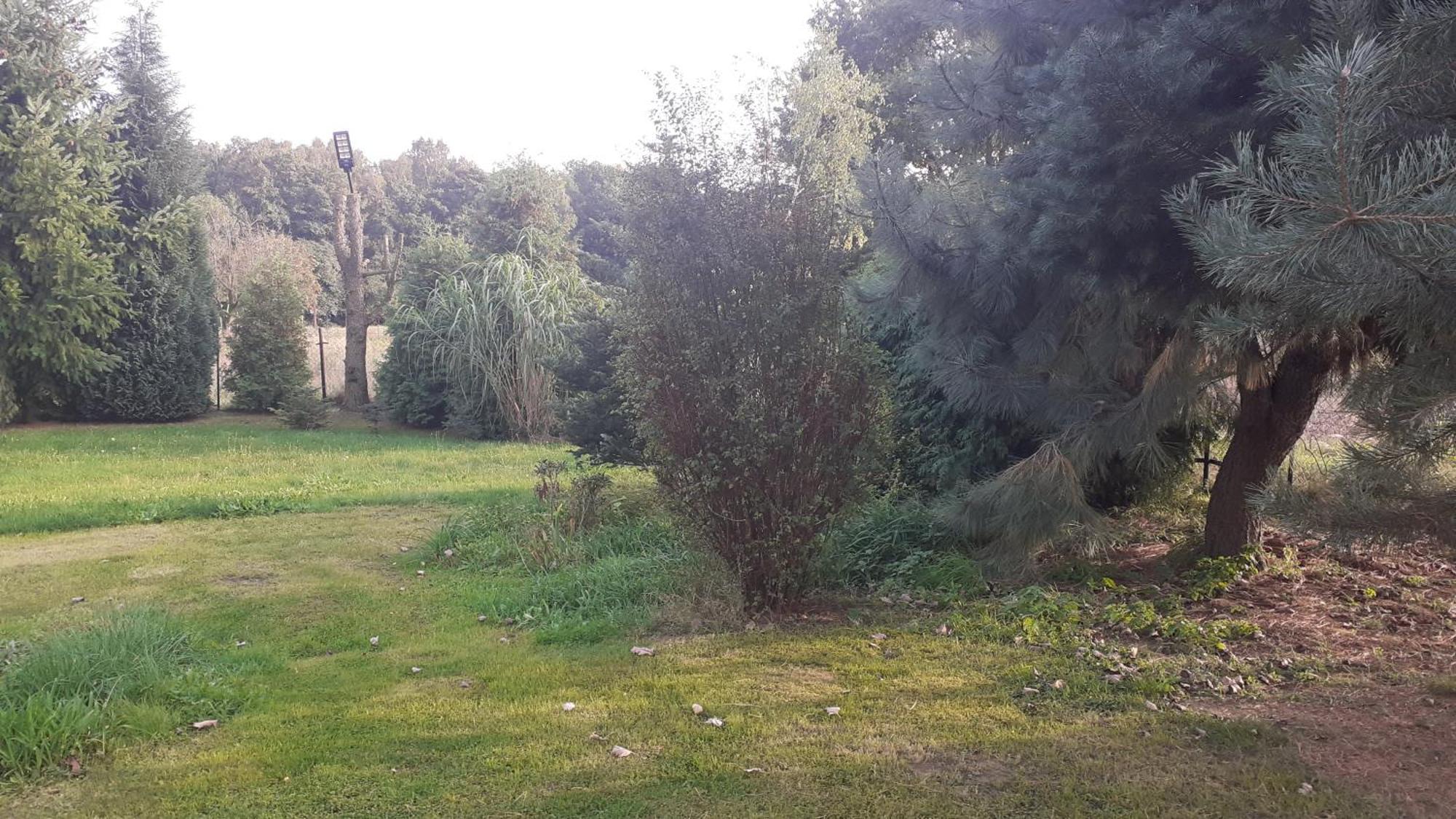 Lesne Zacisze Homestay *