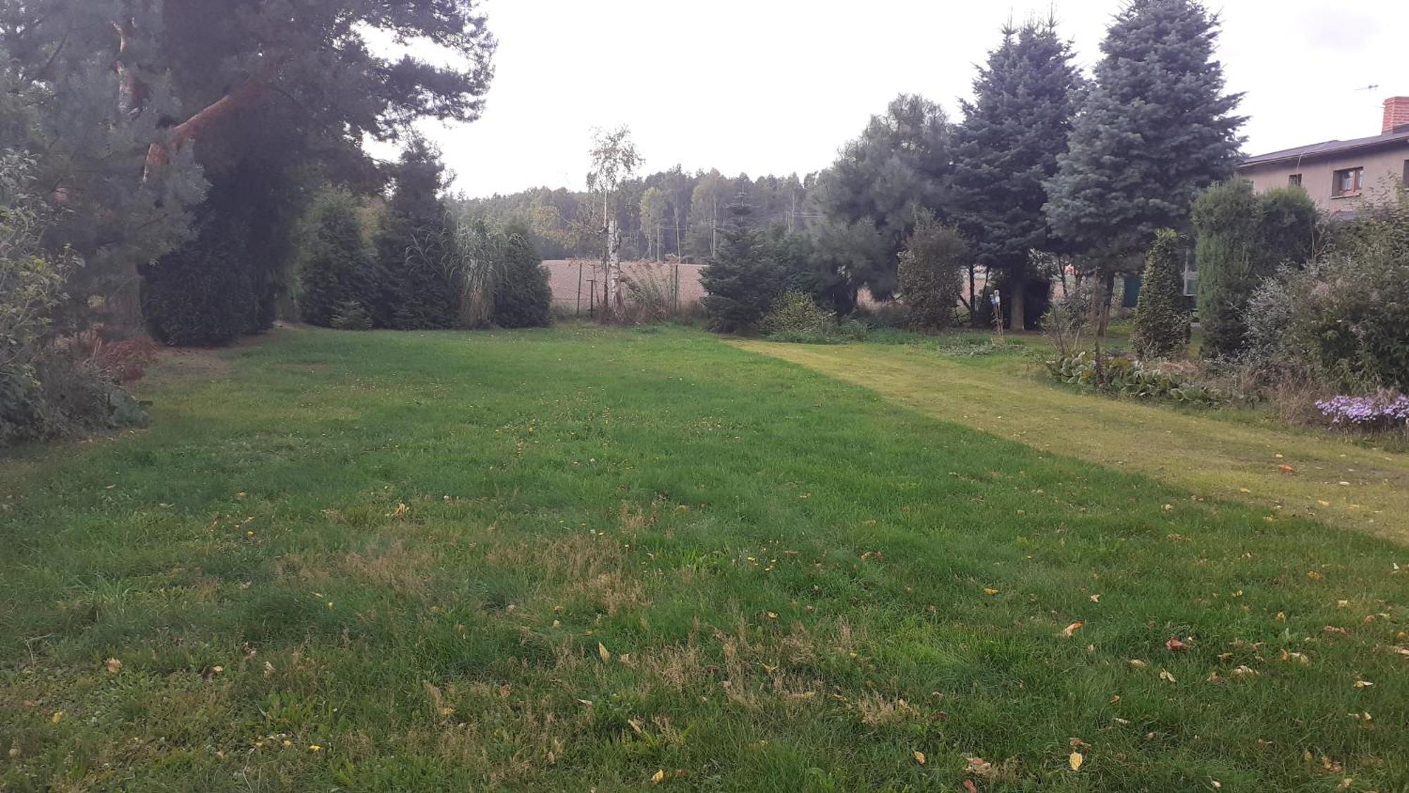 Homestay Lesne Zacisze Rybnik (Silesia)