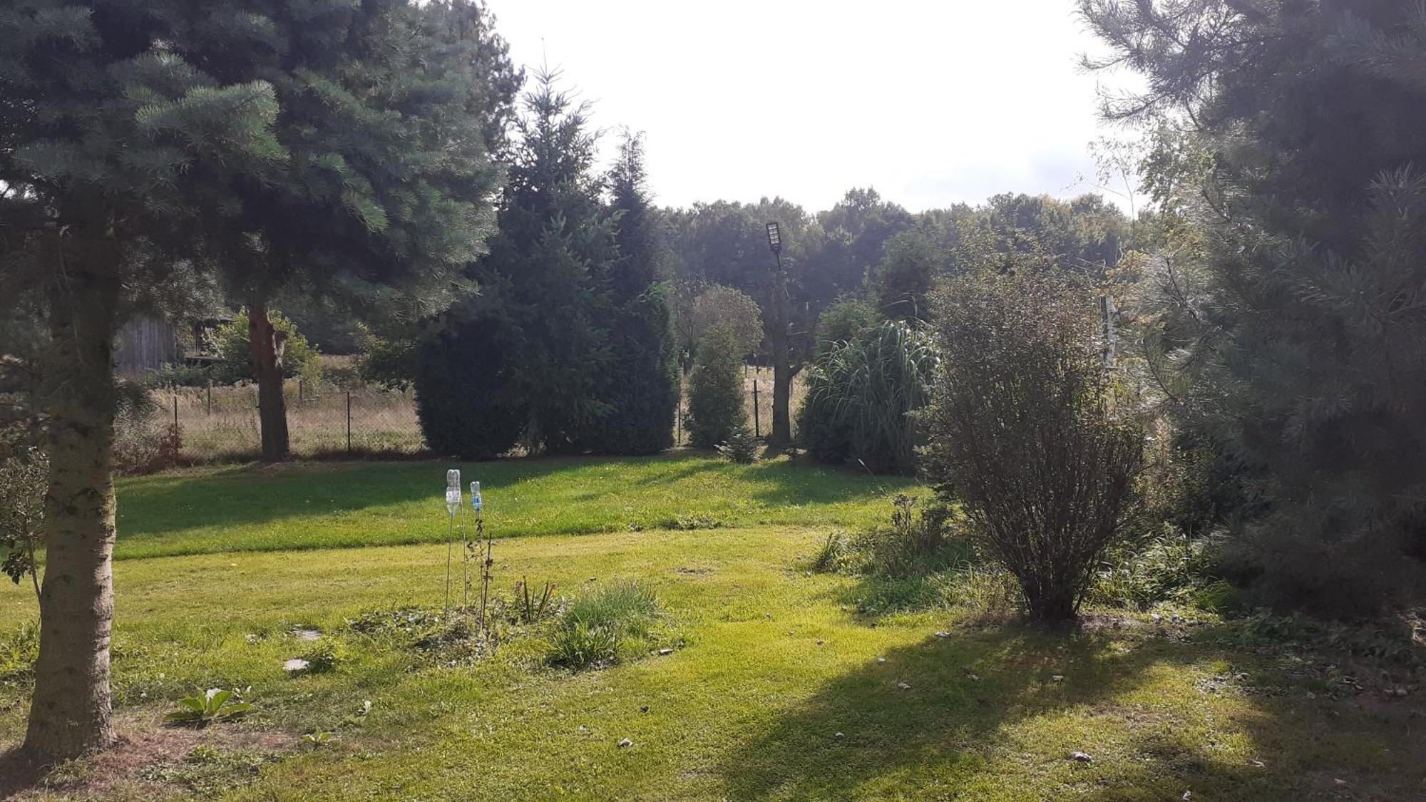 Lesne Zacisze * Rybnik (Silesia)
