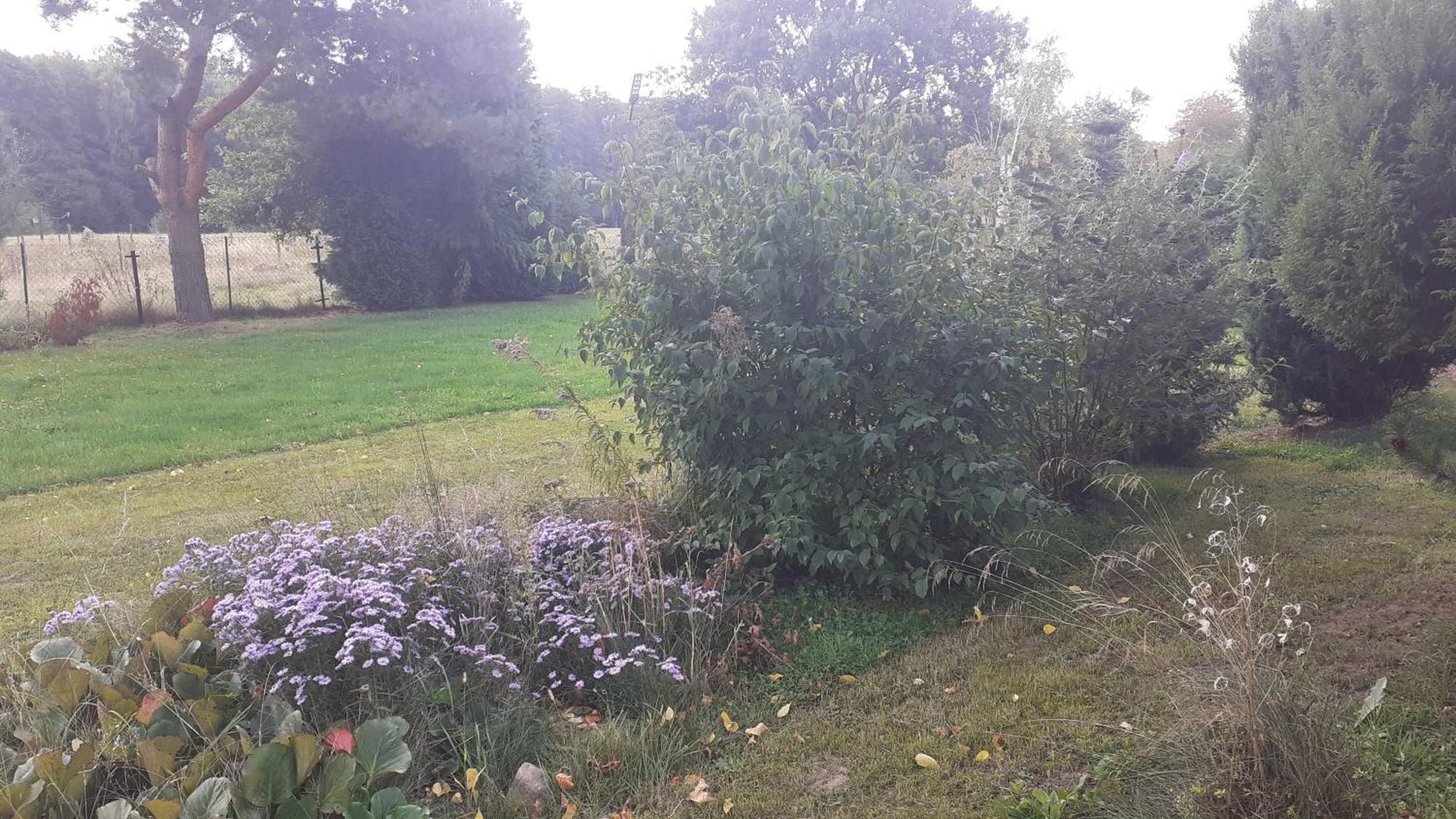 Homestay Lesne Zacisze